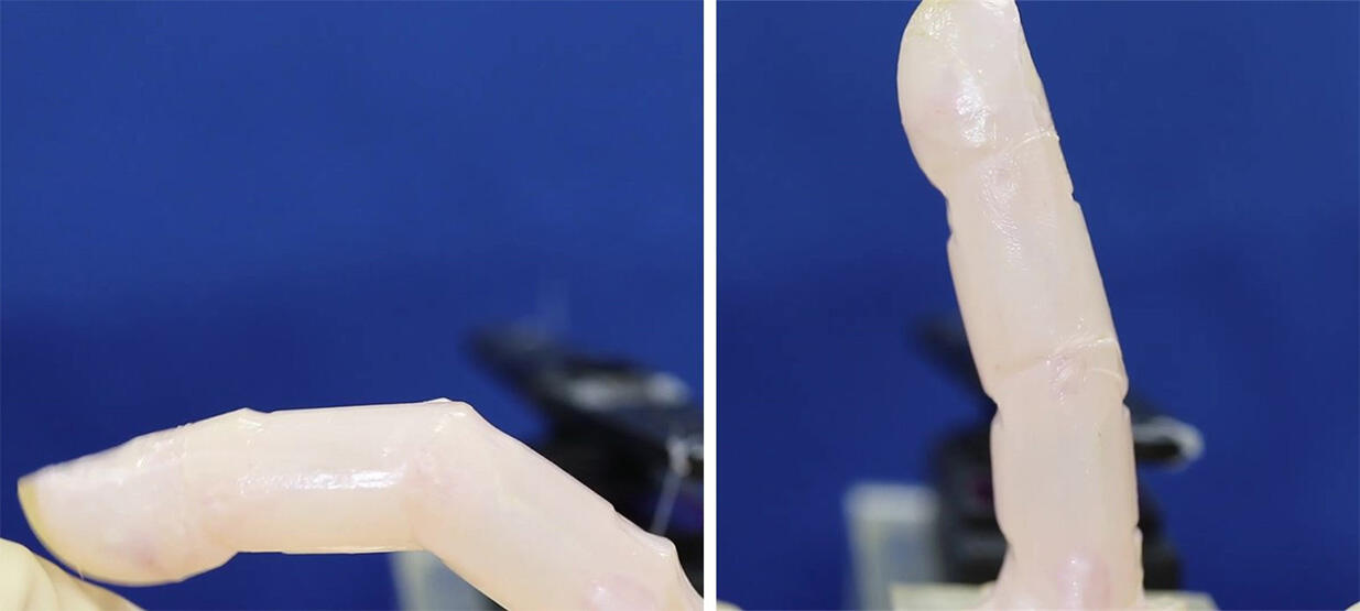 図1　皮膚組織をつけた指型のロボット