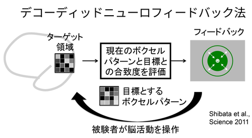図1：デコーディドニューロフィードバック法