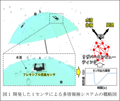 図1：開発した1センサによる多情報検システムの概略図