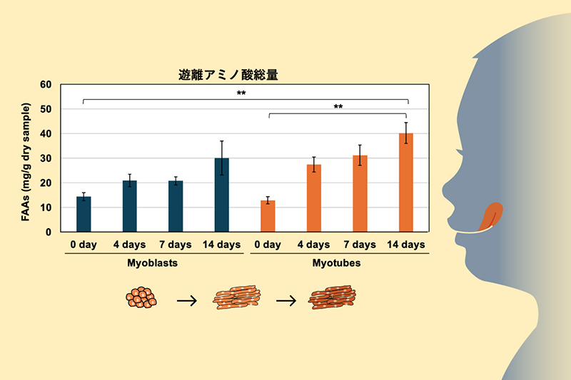 ist_pressrelease_20250523_takeuchi.png