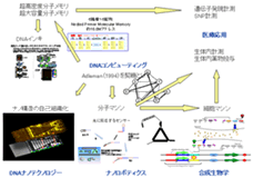 DNAコンピューティングの広がり