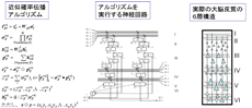 大脳皮質モデルBESOM