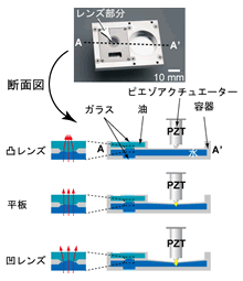 DMLのメカニズム