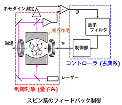 スピン系のフィードバック制御