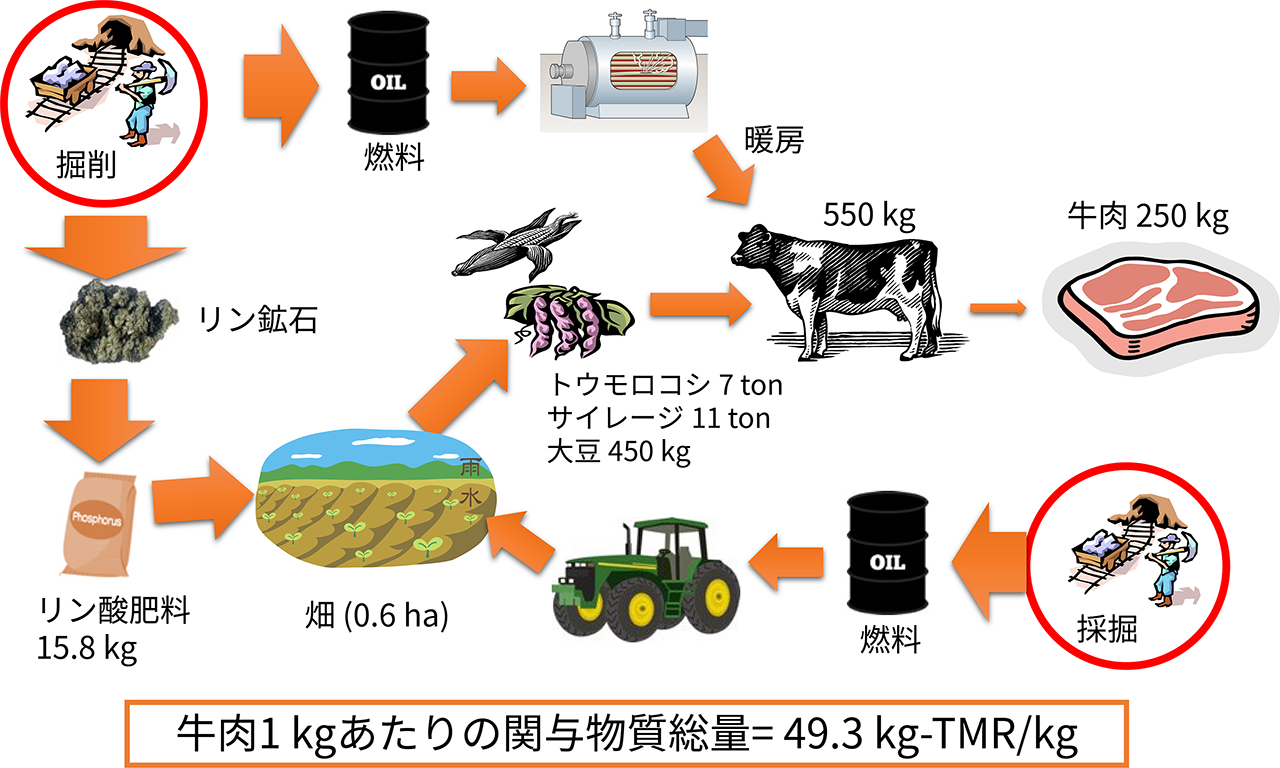 図3　牛肉を生産するために必要な採掘活動。牛肉 1 kgを生産するためには49.3kgもの地球を採掘する必要がある。