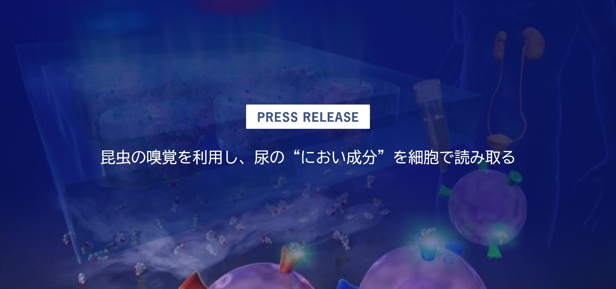 4【2026年度版】最新ニュース2